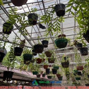 Công Trình Thi Công