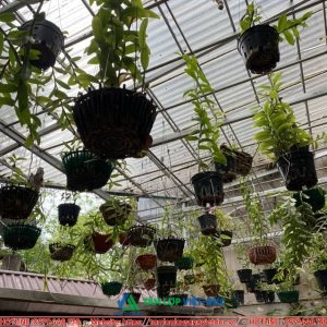 Công Trình Thi Công